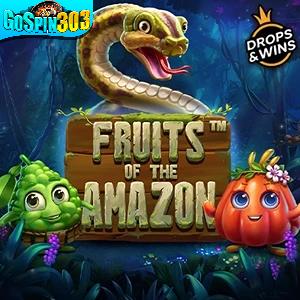 fruitsoftheamazonys