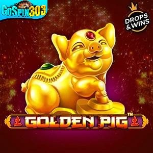 Golden Pig