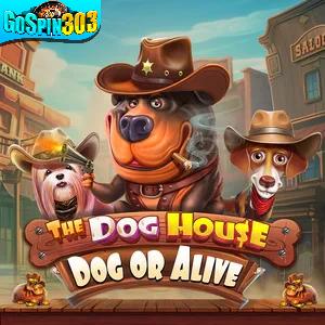 The Dog house Dof Or Alive